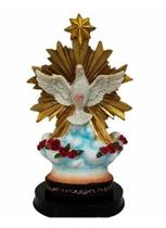 Luminária Espirito Santo Abajur Presente Voltagem 110 V Divino Espírito Santo em Resina