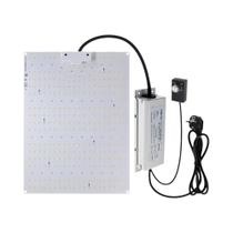 Luminária LED Grow Light 100W/200W Espectro Completo LM281B - Para Plantas Internas