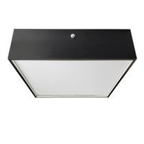 Luminária Plafon Caroá Bivolt E27 Quadrado 30cm - Preto