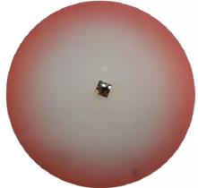 Luminária Plafon Redondo rosa 30cm 2 Lamp. - Blumenau