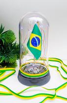 Luminária Redoma / Cúpula com Bandeira do Brasil Luzes de LED Frio
