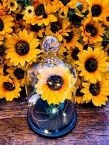 Luminária Redoma de Vidro com Pitão O Girassol Encantado Base na Cor preto Luminária Redoma de Vidro com Pitão O Girassol Encantado Base na Cor preto