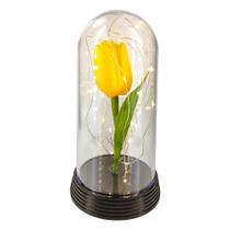 Luminária Redoma Tulipa Encantada Com Luzes De Fada Cúpula