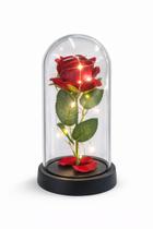 Luminária Rosa Acende Led Cúpula Dia Das Mães Bela E A Fera Vermelha Luminária Rosa Acende Led Cúpula Dia Das Mães Bela E A Fera Vermelha