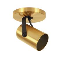 Luminária Teto 1 Spot Direcionável Focus Fit Dourado 1281