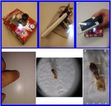 Lupa Conta Fios para uso manual ou com celular 60x possui leds branco e UV + bolsa de tecido