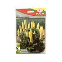 Lupinos Amarelo Perene - 300mg de Sementes / Tremoço de Jardim