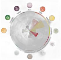 Lúpulo - Amarilo (50G)