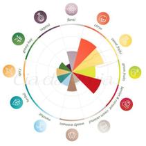 Lúpulo - Citra (50G)