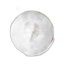 Lúpulo - Columbus (50G)