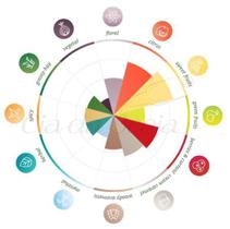 Lúpulo - Galaxy (50G)