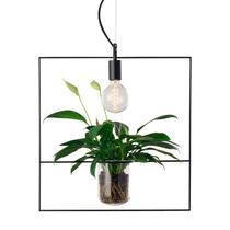 Lustre Pendente Avant Nature Quadrado Preto E27 Bivolt