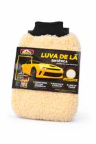 Luva Lã Sintética Proauto Lavagem Carro Profissional Não Risca e Não Solta Pelos Cor Aleatória Luva Lã Sintética Proauto Lavagem Carro Profissional Não Risca e Não Solta Pelos Cor Aleatória
