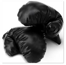 Luvas Boxe Profissional Treino Proteção Impacto Performance