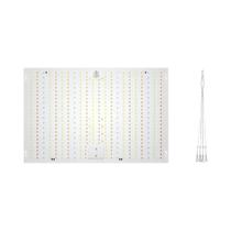 Luz De Crescimento LED De Espectro Completo 300W Quantum Board UV IR Para Plantas Em Estufas