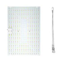 Luz De Crescimento LED De Espectro Completo 300W Quantum Board UV IR Para Plantas Em Estufas