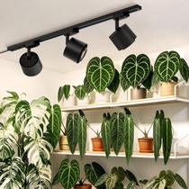 Luz de cultivo Barrina TR40c 3x40W com feixe ajustável 4000K Luz de cultivo Barrina TR40c 3x40W com feixe ajustável 4000K