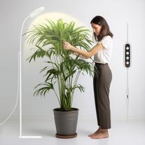 Luz de cultivo interna GLOWRIUM LED de espectro total de 20 W com suporte Luz de cultivo interna GLOWRIUM LED de espectro total de 20 W com suporte