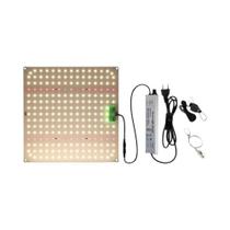 Luz De Cultivo LED De Espectro Completo Com Chip Quantum Diode LM281B Para Plantas Internas Em