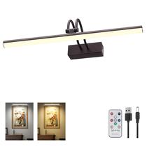 Luz de imagem RAIFOOLLY de 2 cores de 280 lúmens com temporizador e controle remoto