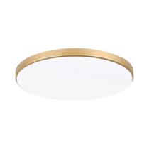 Luz De Teto LED Inteligente Regulável 3 Cores Com Controle Remoto Para Lâmpada De Teto De Cozinha De