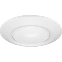 Luz de teto Progress Lighting Intrinsic P810013-028-30