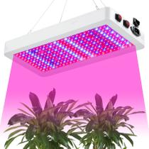 Luz LED para cultivo de plantas SERWING B1000W regulável de espectro completo Luz LED para cultivo de plantas SERWING B1000W regulável de espectro completo
