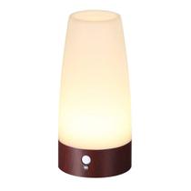 Luz Noturna ZEEFO com Sensor de Movimento PIR, Funciona com Pilhas Luz Noturna ZEEFO com Sensor de Movimento PIR, Funciona com Pilhas
