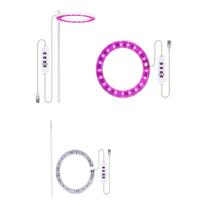 Luz suculenta completa interna da luz do crescimento da planta do anel do anjo do usb