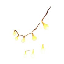 Luzes De Cordão LED 3M 6M 10M Com Alimentação USB Para Decoração De Jardim, Casamento E Natal Com