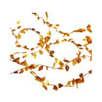 Luzes De Cordão LED Em Forma De Folha Verde, Alimentadas Por Bateria, Para Decoração De Parede,