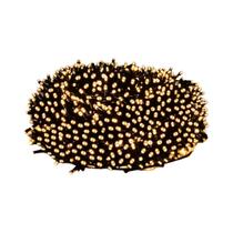 Luzes De Cordão LED Para Exterior 10M-100M 110V 220V Para DC24V Para Decoração De Jardim, Festa, Luzes De Cordão LED Para Exterior 10M-100M 110V 220V Para DC24V Para Decoração De Jardim, Festa,