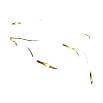Luzes De Cortina LED Para Exterior 110V 220V, Luzes De Fada Para Decoração De Natal, Jardim, Luzes De Cortina LED Para Exterior 110V 220V, Luzes De Fada Para Decoração De Natal, Jardim,