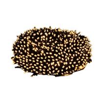 Luzes De Fada Coloridas À Prova d'Água 10M-100M 220V 110V Para Jardim Externo E Árvore De Natal Luzes De Fada Coloridas À Prova d'Água 10M-100M 220V 110V Para Jardim Externo E Árvore De Natal