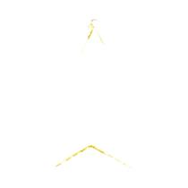 Luzes De Natal LED Em Forma De Estrela Com Controle Remoto, 8 Modos, Pacote De 1/3, Decoração Para Luzes De Natal LED Em Forma De Estrela Com Controle Remoto, 8 Modos, Pacote De 1/3, Decoração Para
