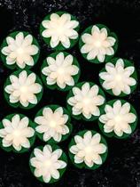 Luzes de piscina flutuantes Hortsun Lotus LED Lily Pad 12 unidades Luzes de piscina flutuantes Hortsun Lotus LED Lily Pad 12 unidades