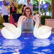 Luzes de piscina flutuantes TIALLY Swan Solar 22 cm, pacote com 2 unidades, brancas