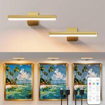 Luzes fotográficas recarregáveis sem fio Giawosth Gold (pacote com 2) Luzes fotográficas recarregáveis sem fio Giawosth Gold (pacote com 2)
