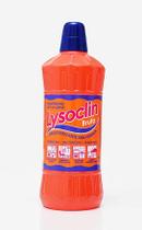 Lysoclin bruto limpador bactericida 01 litro