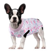 Macacão de Recuperação Pós-Cirúrgica para Cães Due Felice, Fêmea e Macho, XL