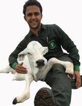 Macacão Veterinário Masculino Verde Musgo Manga Longa. - Vestmedic e-commerce Semeab