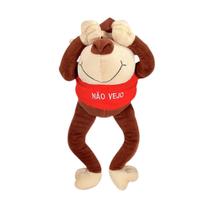Macaco De Pelúcia Não Vejo 40cm Antialérgico - Rei Pets