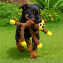 Macaco Mordedor Bola Guia Treina Adestra Dente Brinquedo Pet Cachorro Gato Ossinho Ursinho Macaco Mordedor Bola Guia Treina Adestra Dente Brinquedo Pet Cachorro Gato Ossinho Ursinho