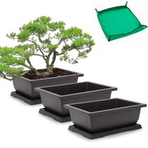 Macetas para Bonsái GROWNEER 3 Paquetes, Maceta de Entrenamiento de 28 cm con Bandeja y Tapete