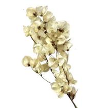 Maço de bougainville - Flores Desidratadas