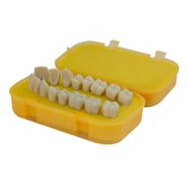 Macrodente Superior e Inferior com 16 Dentes AC 122 Pronew