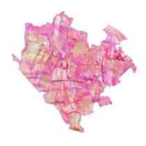 Madre pérola para encapsulamento rosa Madre pérola para encapsulamento rosa