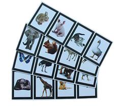 Mágica Animental Magic Up (Mágica Com Animais)