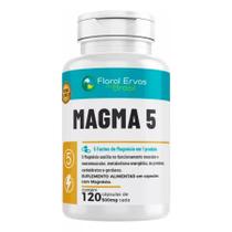 Magma 5 500mg 120 Cápsulas - Floral Ervas Magma 5 500mg 120 Cápsulas - Floral Ervas