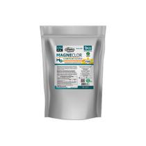 Magneclor Cloreto de Magnésio P.A Unilife 1kg